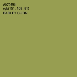 #979E51 - Barley Corn Color Image
